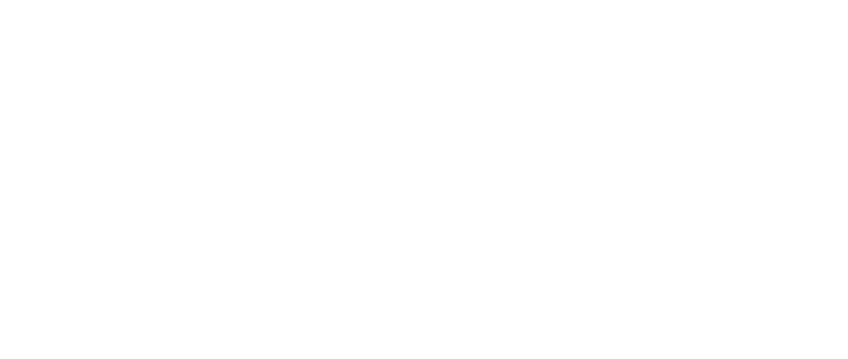 U.S.VETS